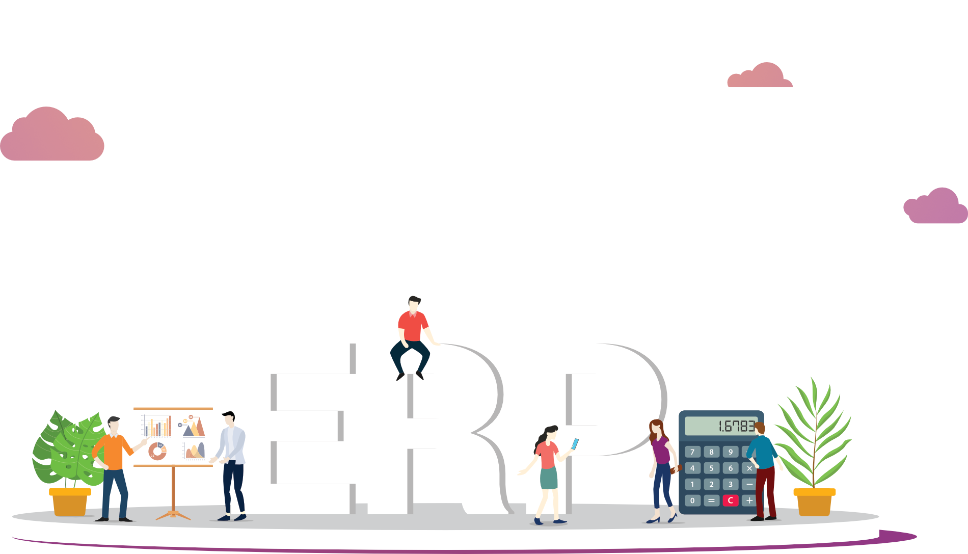 ERP-software